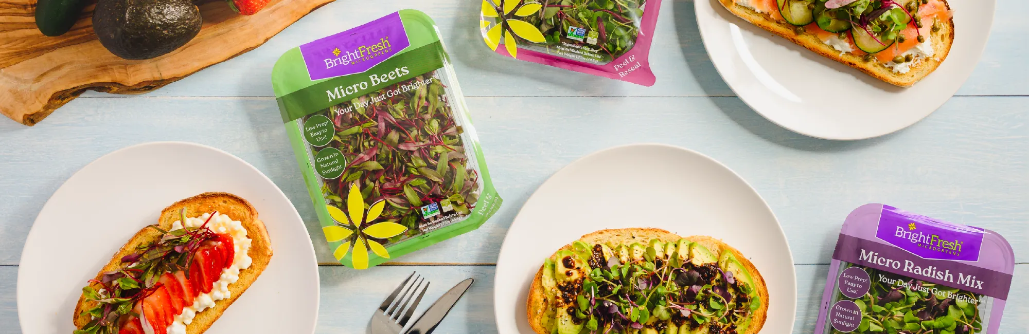 overhead photo of different toast with ingredients on them