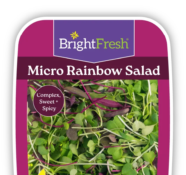 Micro Rainbow Salad
